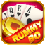 rummy apna icon