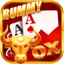 rummy nabob