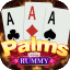 online rummy cash withdrawal icon